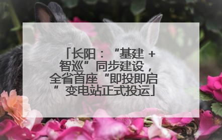长阳：“基建 + 智巡”同步建设，全省首座“即投即启”变电站正式投运