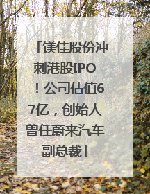 镁佳股份冲刺港股IPO！公司估值67亿，创始人曾任蔚来汽车副总裁