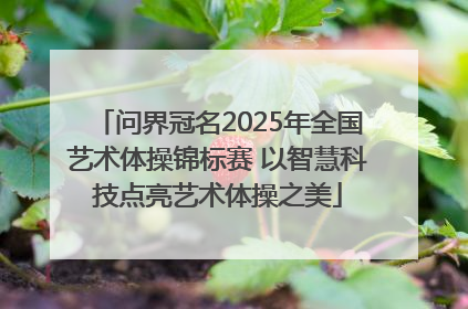 问界冠名2025年全国艺术体操锦标赛 以智慧科技点亮艺术体操之美
