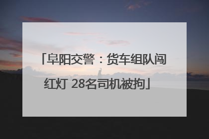 阜阳交警：货车组队闯红灯 28名司机被拘