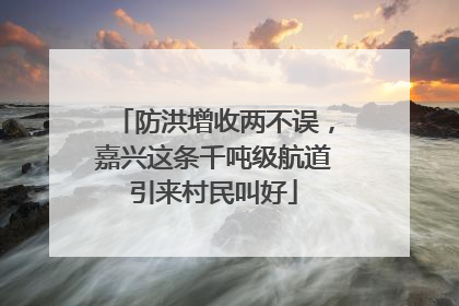 防洪增收两不误，嘉兴这条千吨级航道引来村民叫好