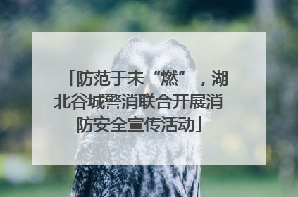 防范于未“燃”，湖北谷城警消联合开展消防安全宣传活动