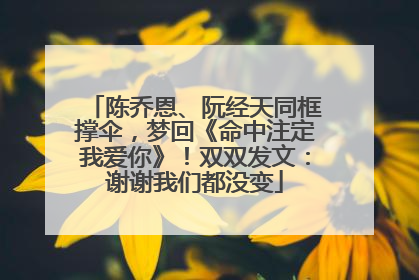 陈乔恩、阮经天同框撑伞，梦回《命中注定我爱你》！双双发文：谢谢我们都没变