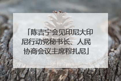 陈吉宁会见印尼大印尼行动党秘书长、人民协商会议主席穆扎尼