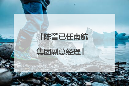 陈詟已任南航集团副总经理