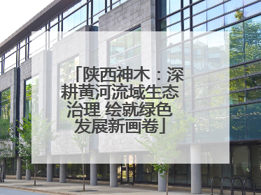 陕西神木：深耕黄河流域生态治理 绘就绿色发展新画卷
