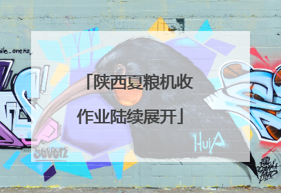 陕西夏粮机收作业陆续展开
