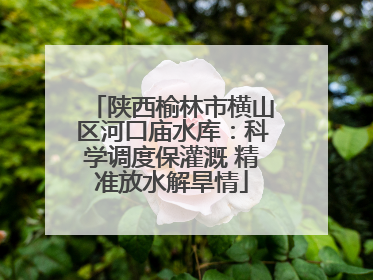 陕西榆林市横山区河口庙水库：科学调度保灌溉 精准放水解旱情