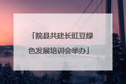 院县共建长豇豆绿色发展培训会举办