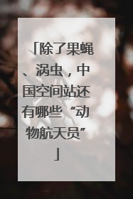 除了果蝇、涡虫，中国空间站还有哪些“动物航天员”