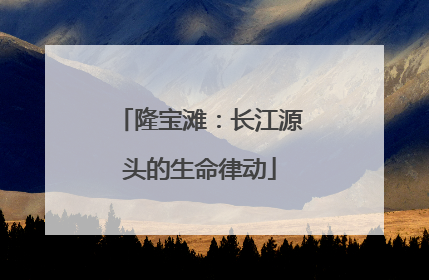 隆宝滩：长江源头的生命律动