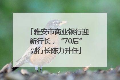 雅安市商业银行迎新行长，“70后”副行长陈力升任