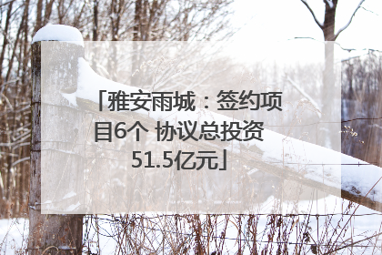 雅安雨城：签约项目6个 协议总投资51.5亿元