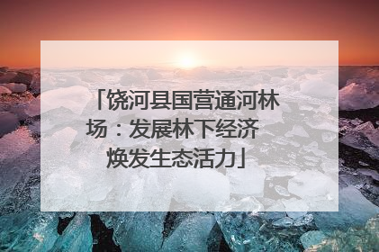 饶河县国营通河林场：发展林下经济 焕发生态活力