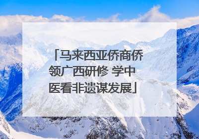 马来西亚侨商侨领广西研修 学中医看非遗谋发展