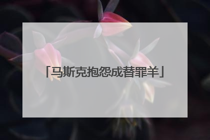 马斯克抱怨成替罪羊