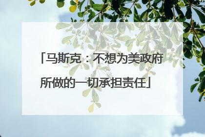 马斯克：不想为美政府所做的一切承担责任