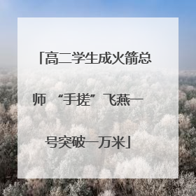 高二学生成火箭总师 “手搓”飞燕一号突破一万米