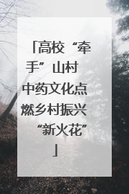 高校“牵手”山村 中药文化点燃乡村振兴“新火花”