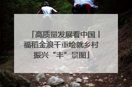 高质量发展看中国丨福稻金浪千重绘就乡村振兴“丰”景图