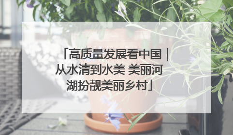 高质量发展看中国｜从水清到水美 美丽河湖扮靓美丽乡村