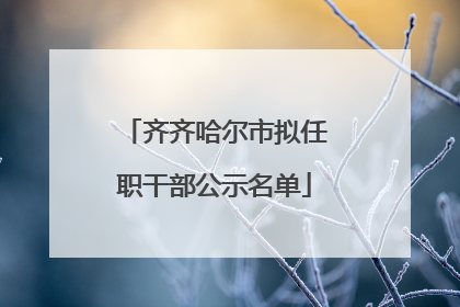 齐齐哈尔市拟任职干部公示名单
