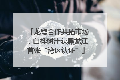 龙粤合作共拓市场，白桦树汁获黑龙江首张“湾区认证”