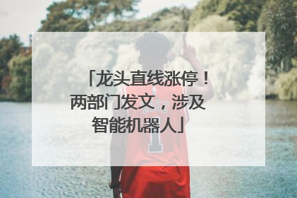 龙头直线涨停！两部门发文，涉及智能机器人