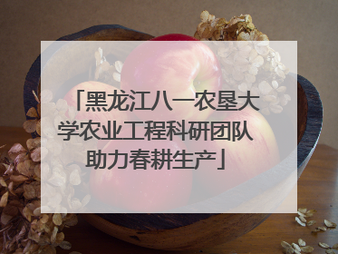 黑龙江八一农垦大学农业工程科研团队助力春耕生产
