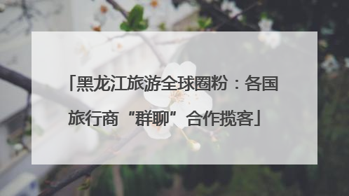 黑龙江旅游全球圈粉：各国旅行商“群聊”合作揽客