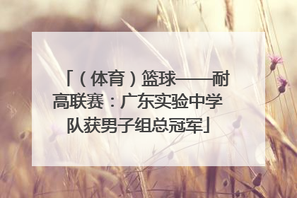 （体育）篮球——耐高联赛：广东实验中学队获男子组总冠军