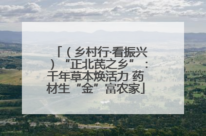 （乡村行·看振兴）“正北芪之乡”：千年草本焕活力 药材生“金”富农家