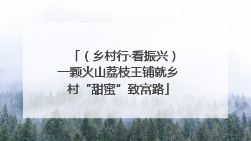 （乡村行·看振兴）一颗火山荔枝王铺就乡村“甜蜜”致富路
