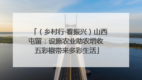 （乡村行·看振兴）山西屯留：设施农业助农增收 五彩椒带来多彩生活