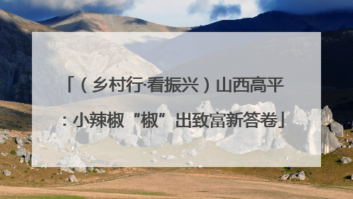 （乡村行·看振兴）山西高平：小辣椒“椒”出致富新答卷