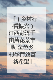 （乡村行·看振兴）江西彭泽千亩黄花菜丰收 金色乡村孕育致富新希望