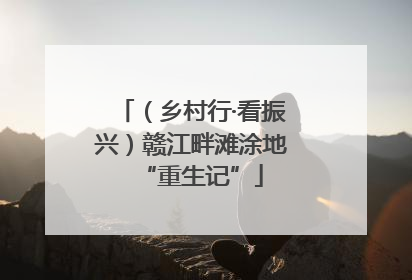 （乡村行·看振兴）赣江畔滩涂地“重生记”