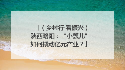 （乡村行·看振兴）陕西略阳：“小瓢儿”如何撬动亿元产业？