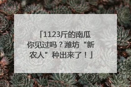 1123斤的南瓜你见过吗？潍坊“新农人”种出来了！