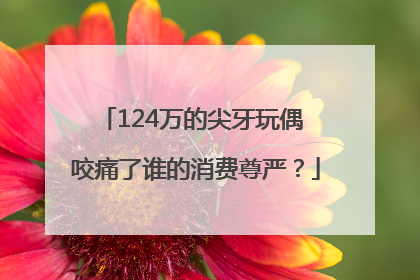 124万的尖牙玩偶 咬痛了谁的消费尊严？