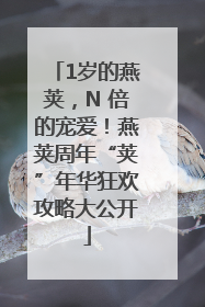 1岁的燕荚，N 倍的宠爱！燕荚周年“荚”年华狂欢攻略大公开