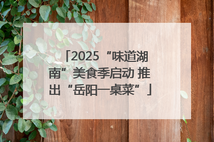 2025“味道湖南”美食季启动 推出“岳阳一桌菜”