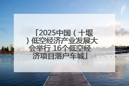 2025中国（十堰）低空经济产业发展大会举行 16个低空经济项目落户车城