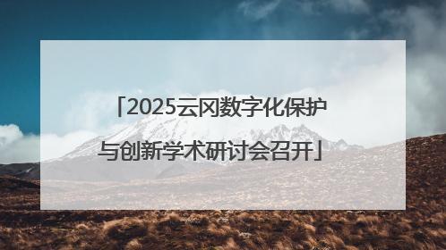 2025云冈数字化保护与创新学术研讨会召开