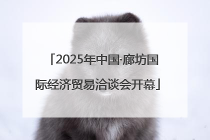 2025年中国·廊坊国际经济贸易洽谈会开幕