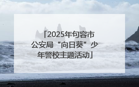 2025年句容市公安局“向日葵”少年警校主题活动