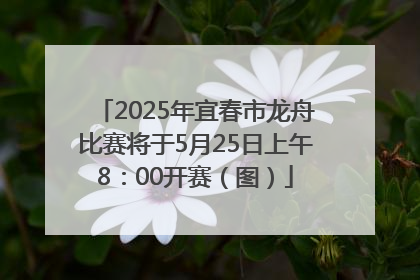 2025年宜春市龙舟比赛将于5月25日上午8：00开赛（图）