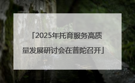 2025年托育服务高质量发展研讨会在普陀召开