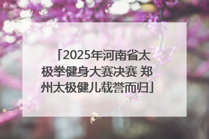 2025年河南省太极拳健身大赛决赛 郑州太极健儿载誉而归
