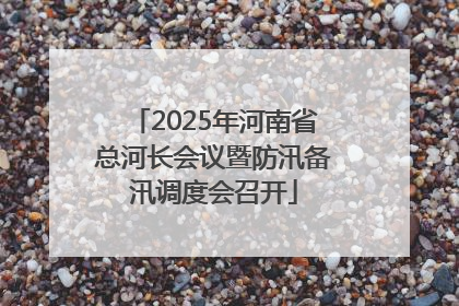 2025年河南省总河长会议暨防汛备汛调度会召开